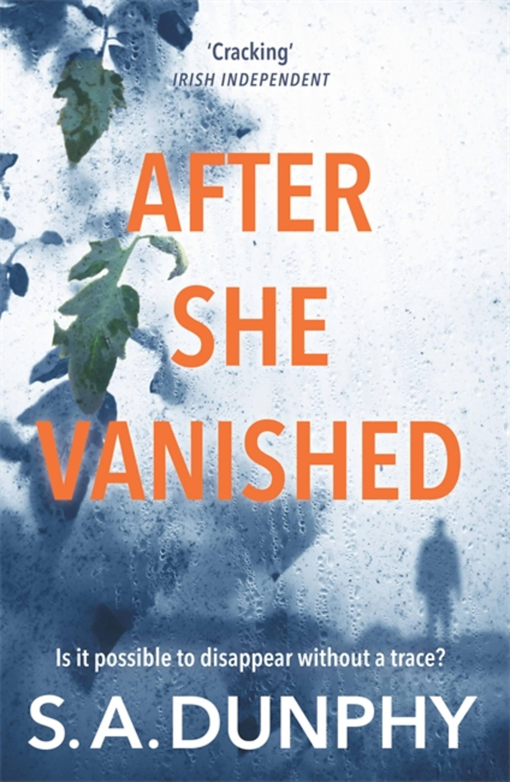 Vorderes Coverbild After She Vanished