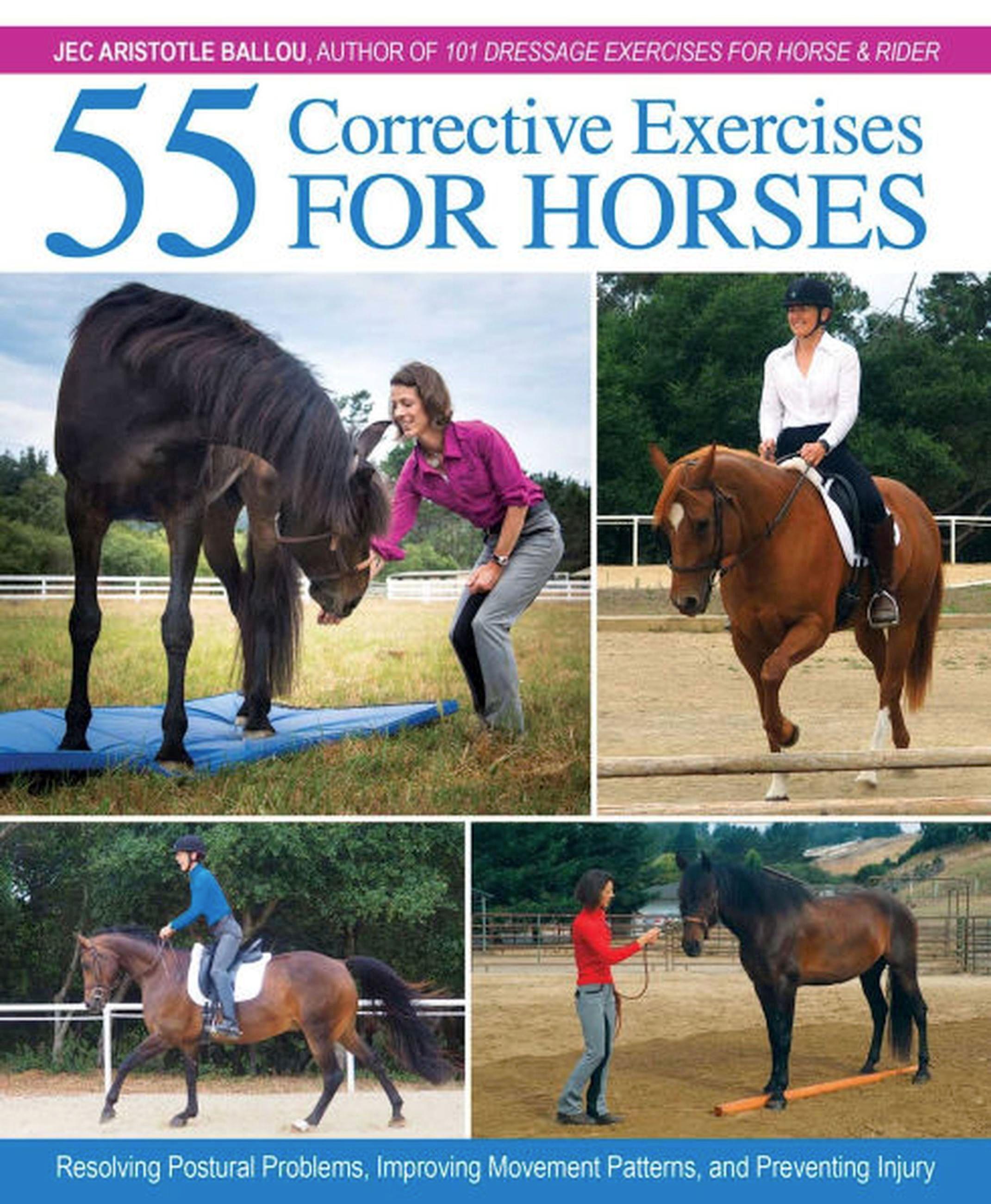 Vorderes Coverbild 55 Corrective Exercises for Horses