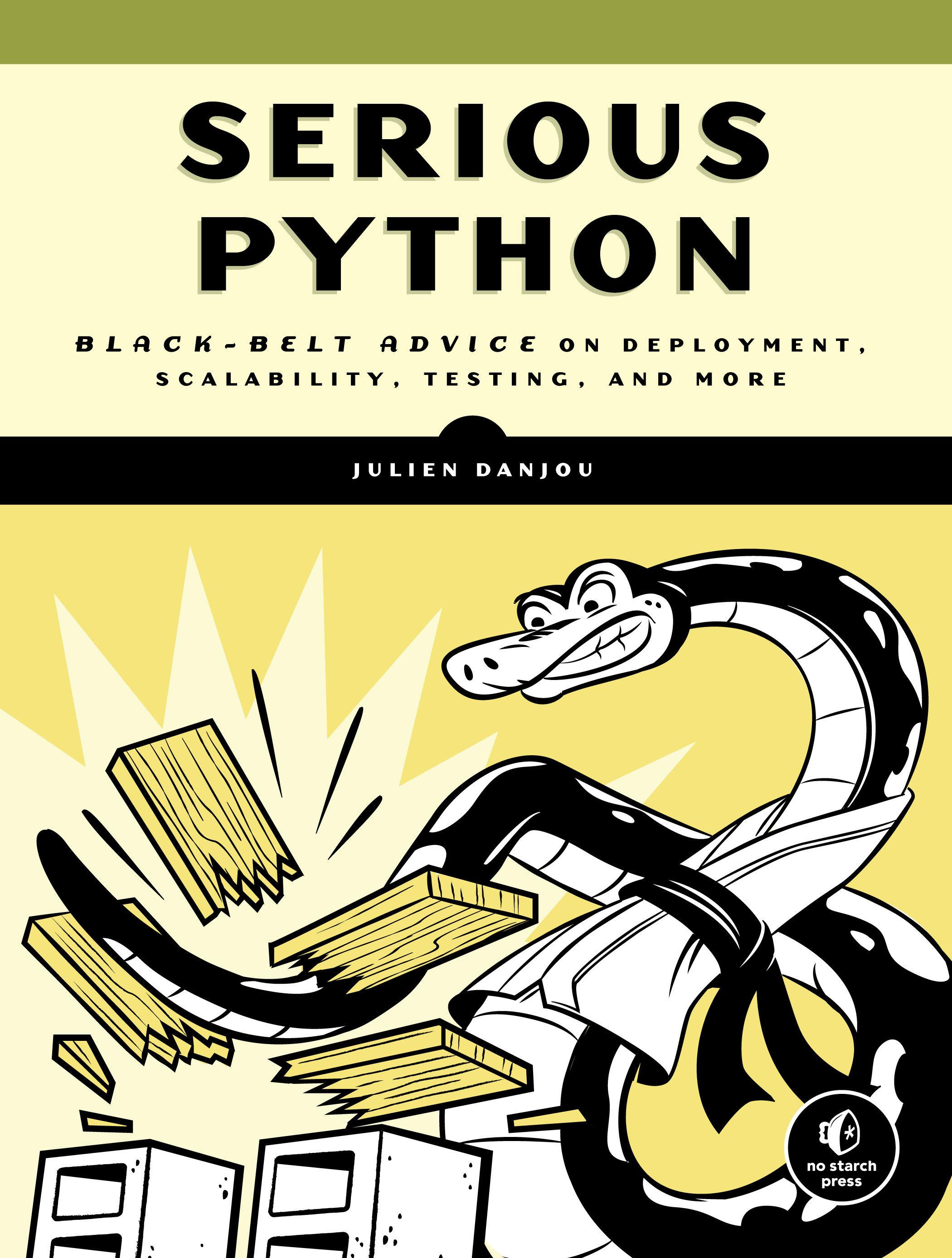 Vorderes Coverbild Serious Python