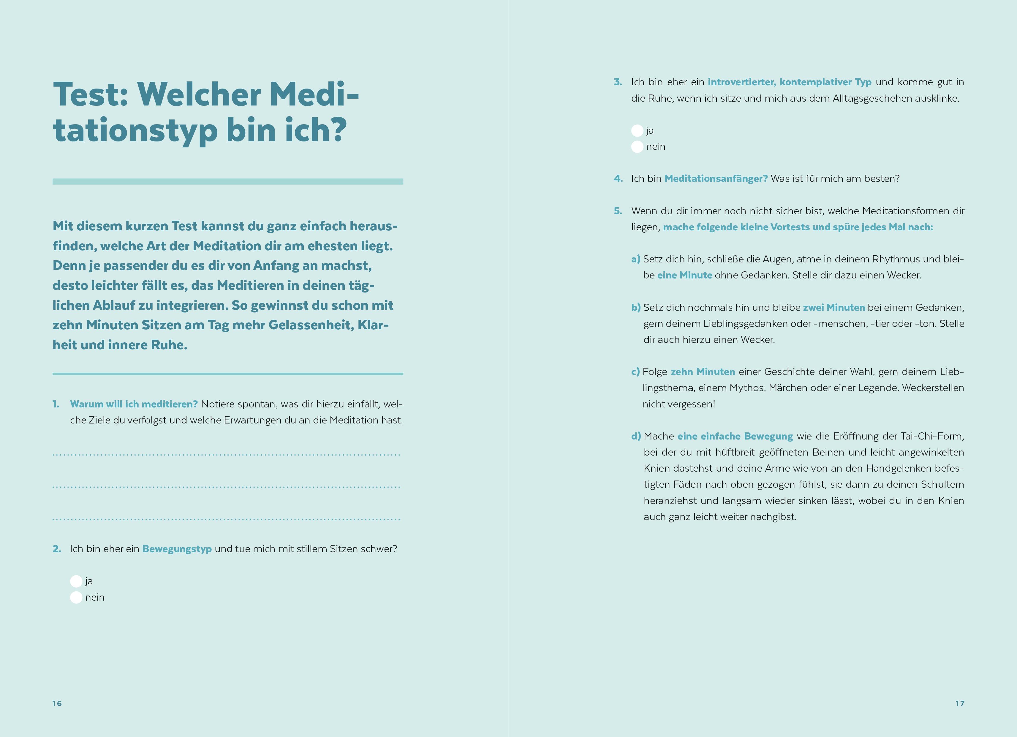 Beispielinhalt (Bild) Jetzt einfach meditieren