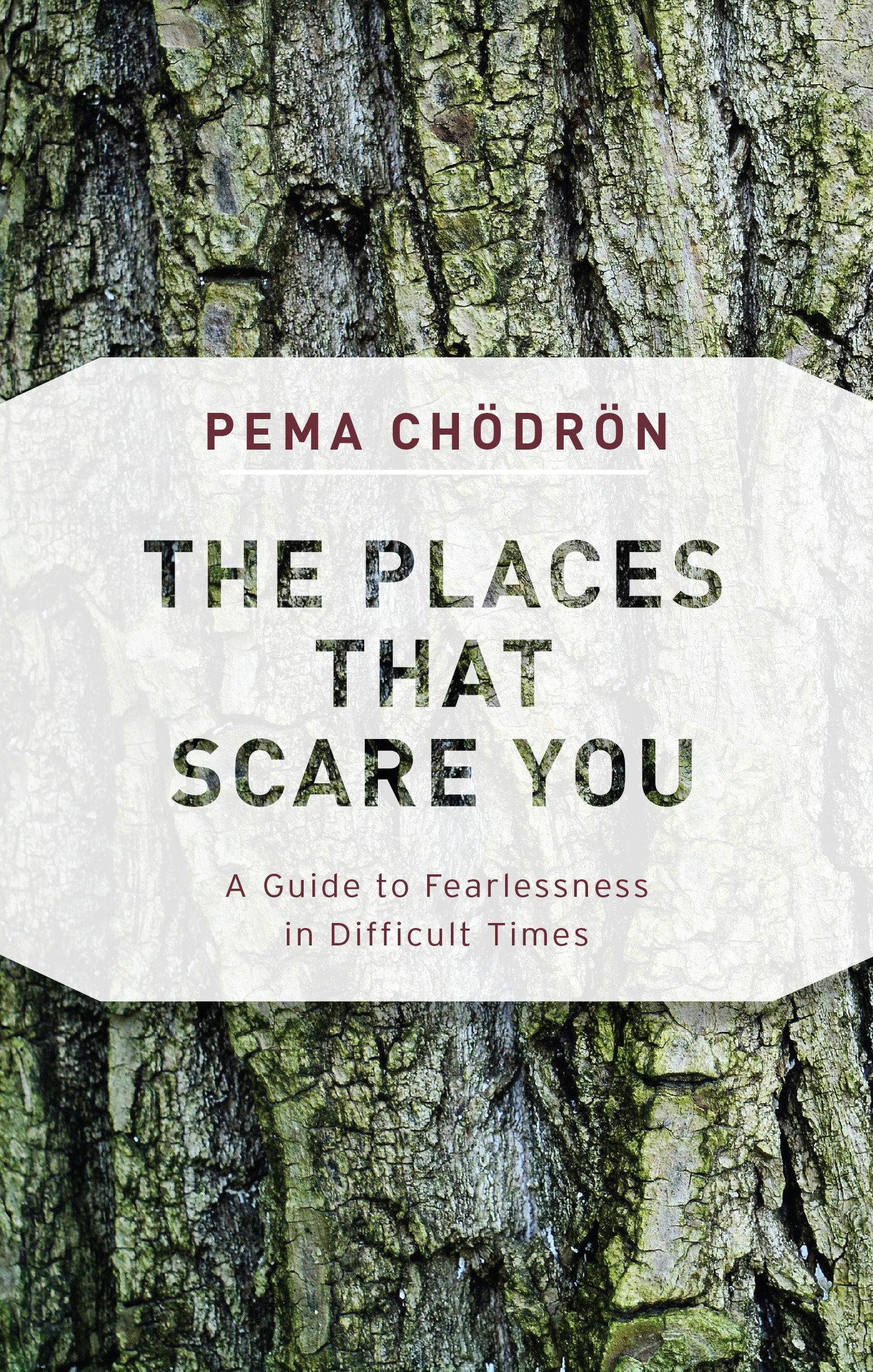 Vorderes Coverbild The Places That Scare You
