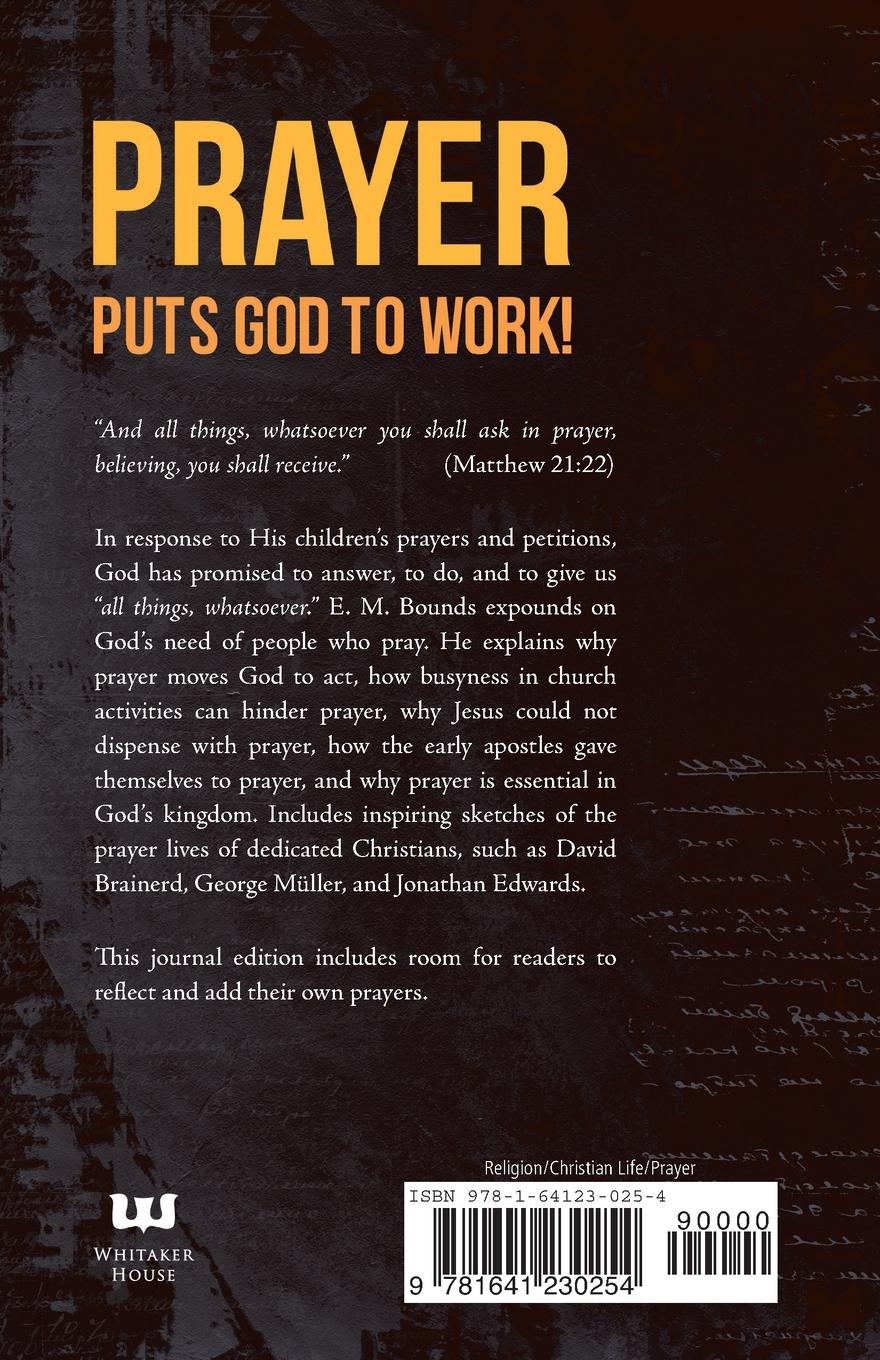 Rückseitencover Equipped