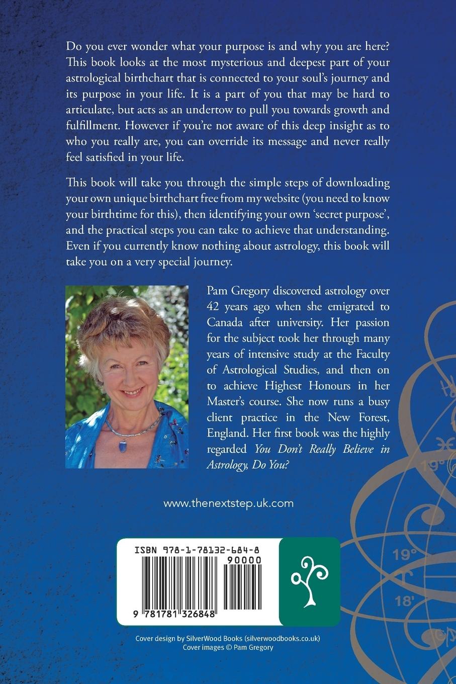 Rückseitencover How to Co-Create Using the Secret Language of the Universe