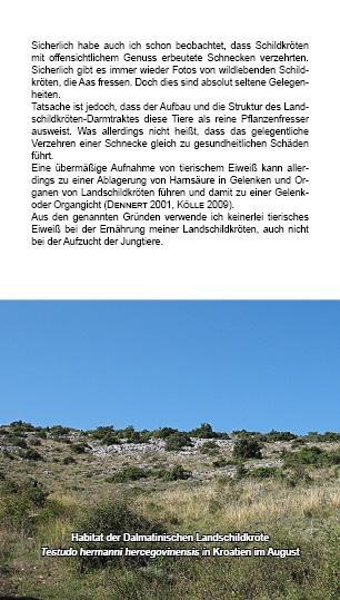 Beispielinhalt (Bild) Landschildkröten-Futterpflanzen