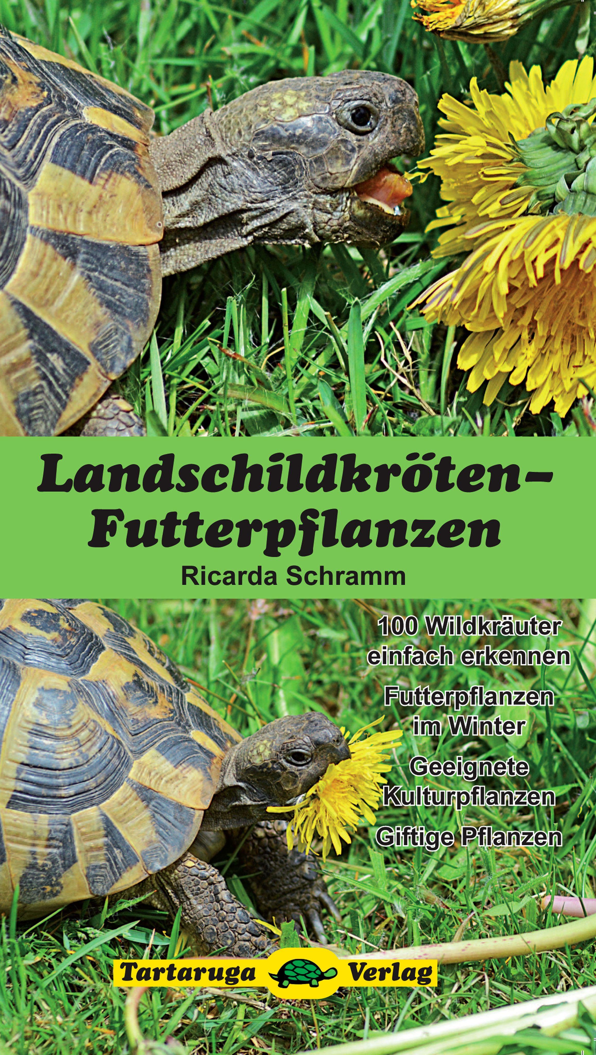 Vorderes Coverbild Landschildkröten-Futterpflanzen