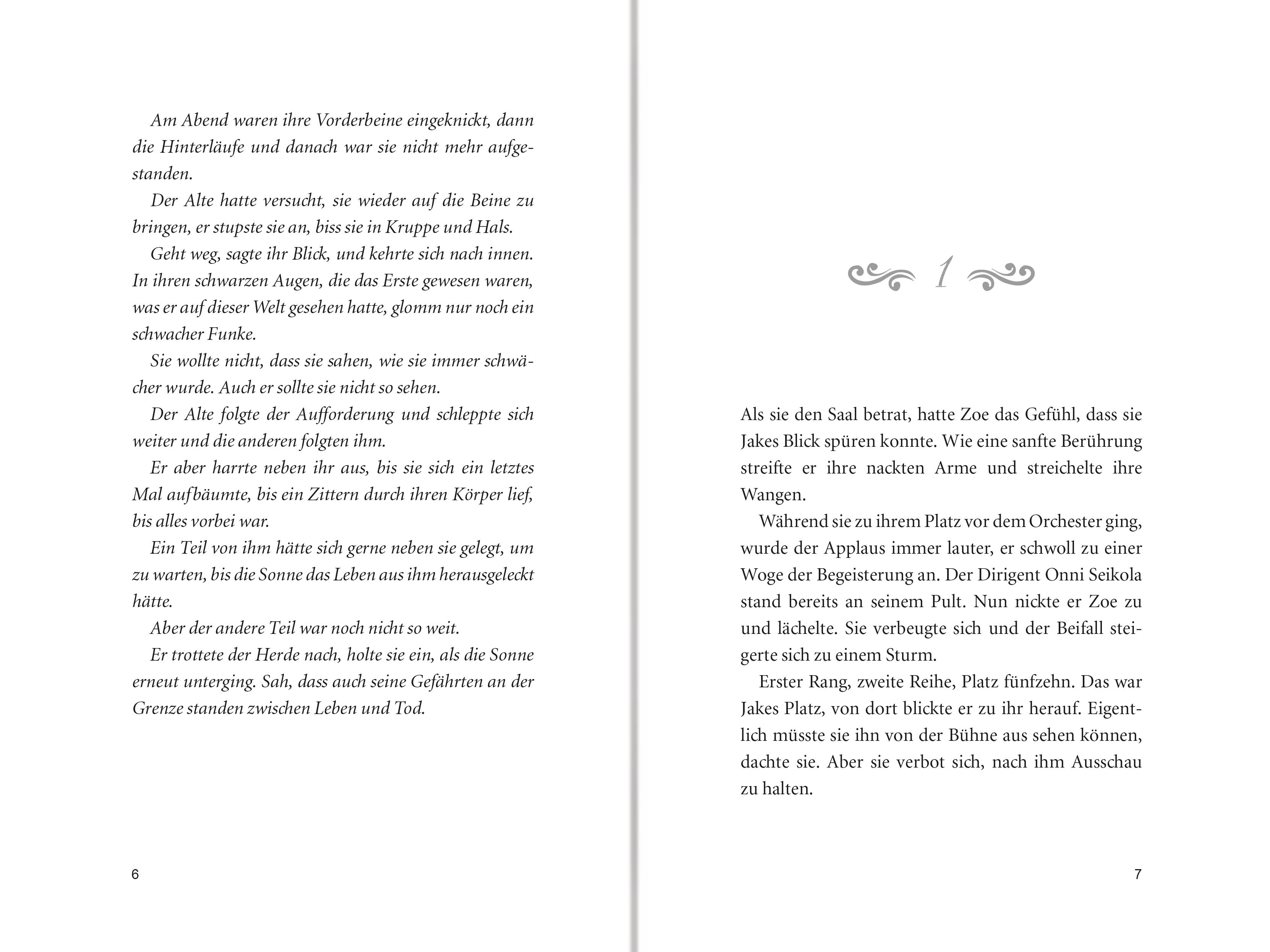 Beispielinhalt (Bild) Pferdeflüsterer-Academy, Band 1: Reise nach Snowfields