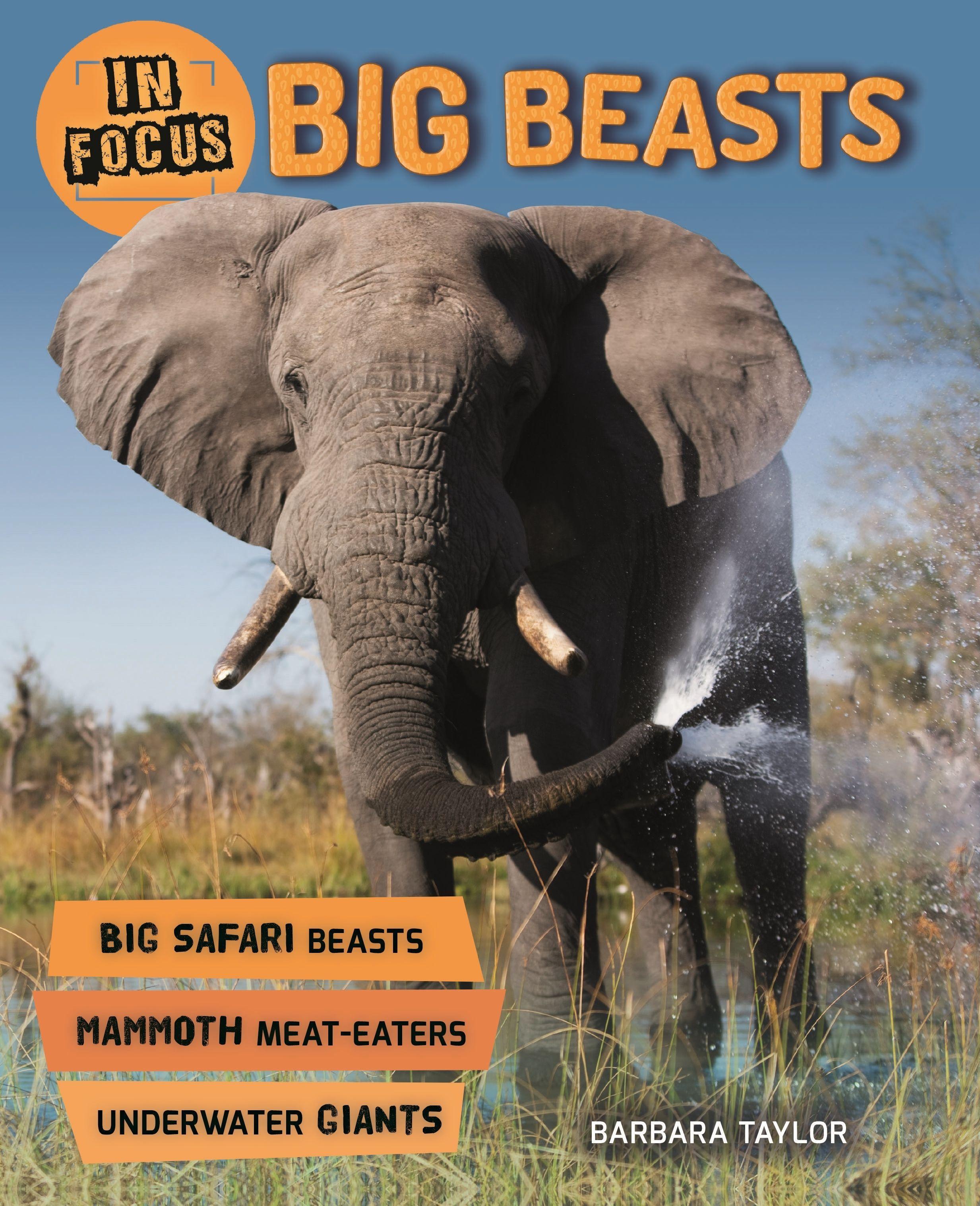 Vorderes Coverbild In Focus: Big Beasts