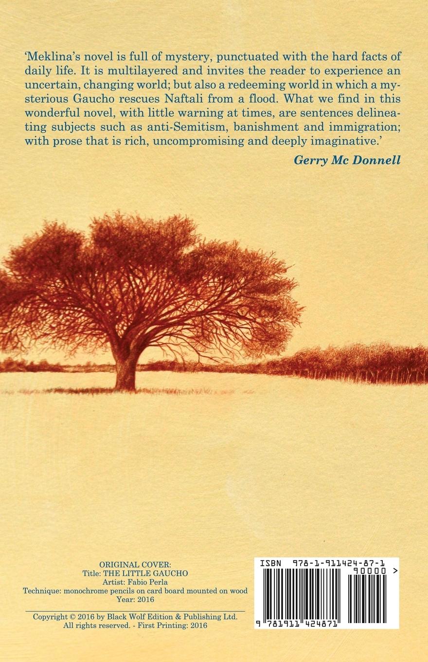 Rückseitencover The Little Gaucho Who Loved Don Quixote