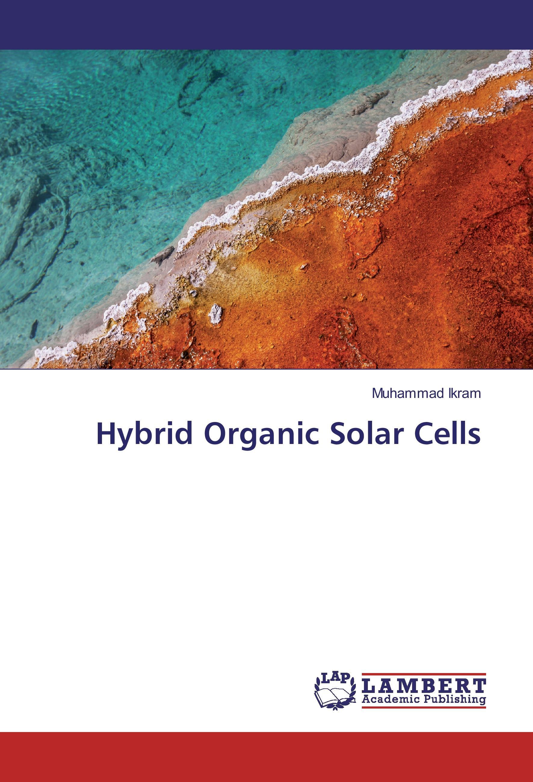 Vorderes Coverbild Hybrid Organic Solar Cells