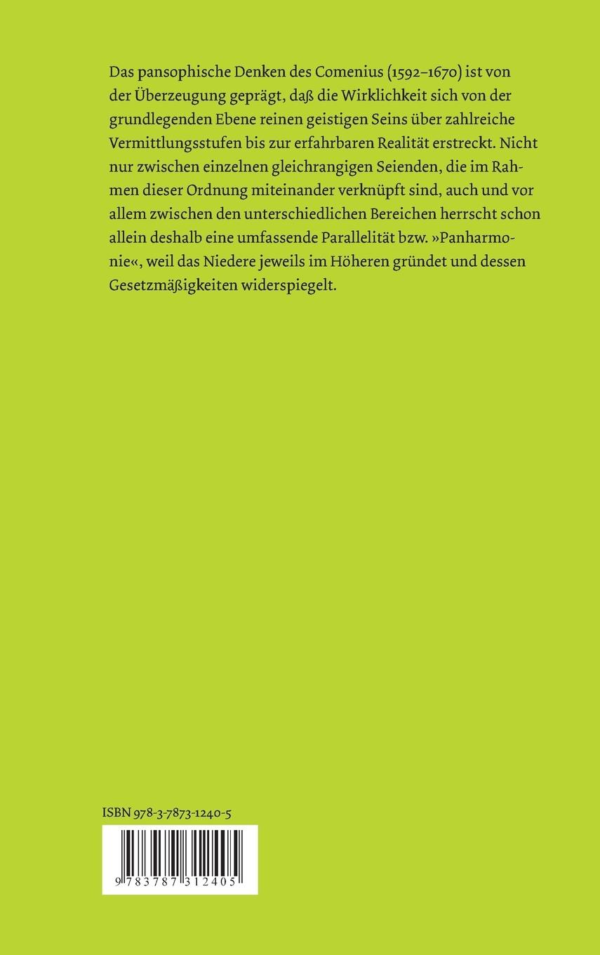 Rückseitencover Der Weg des Lichtes