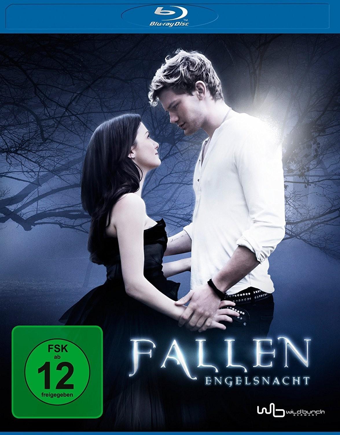 Vorderes Coverbild Fallen - Engelsnacht
