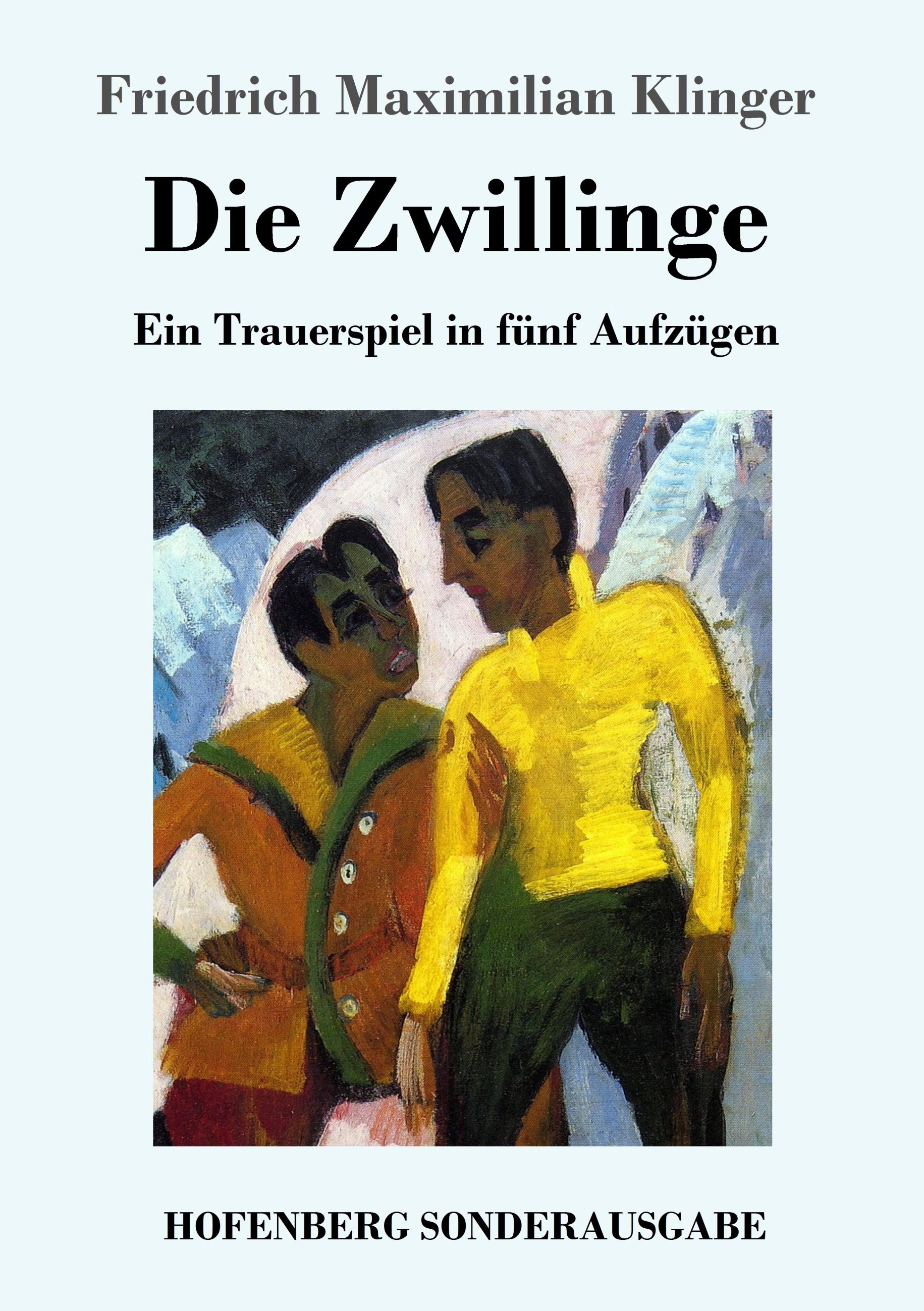 Vorderes Coverbild Die Zwillinge