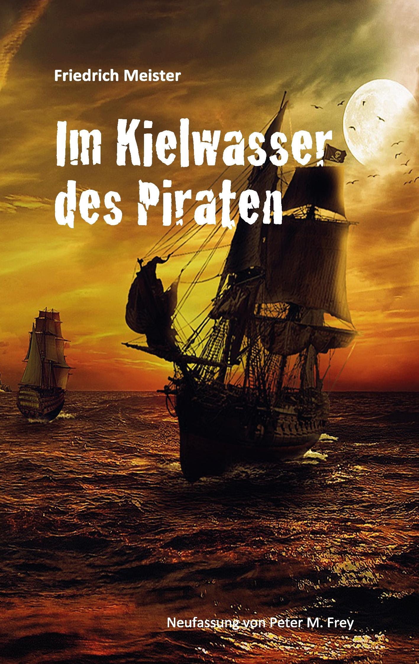 Vorderes Coverbild Im Kielwasser des Piraten