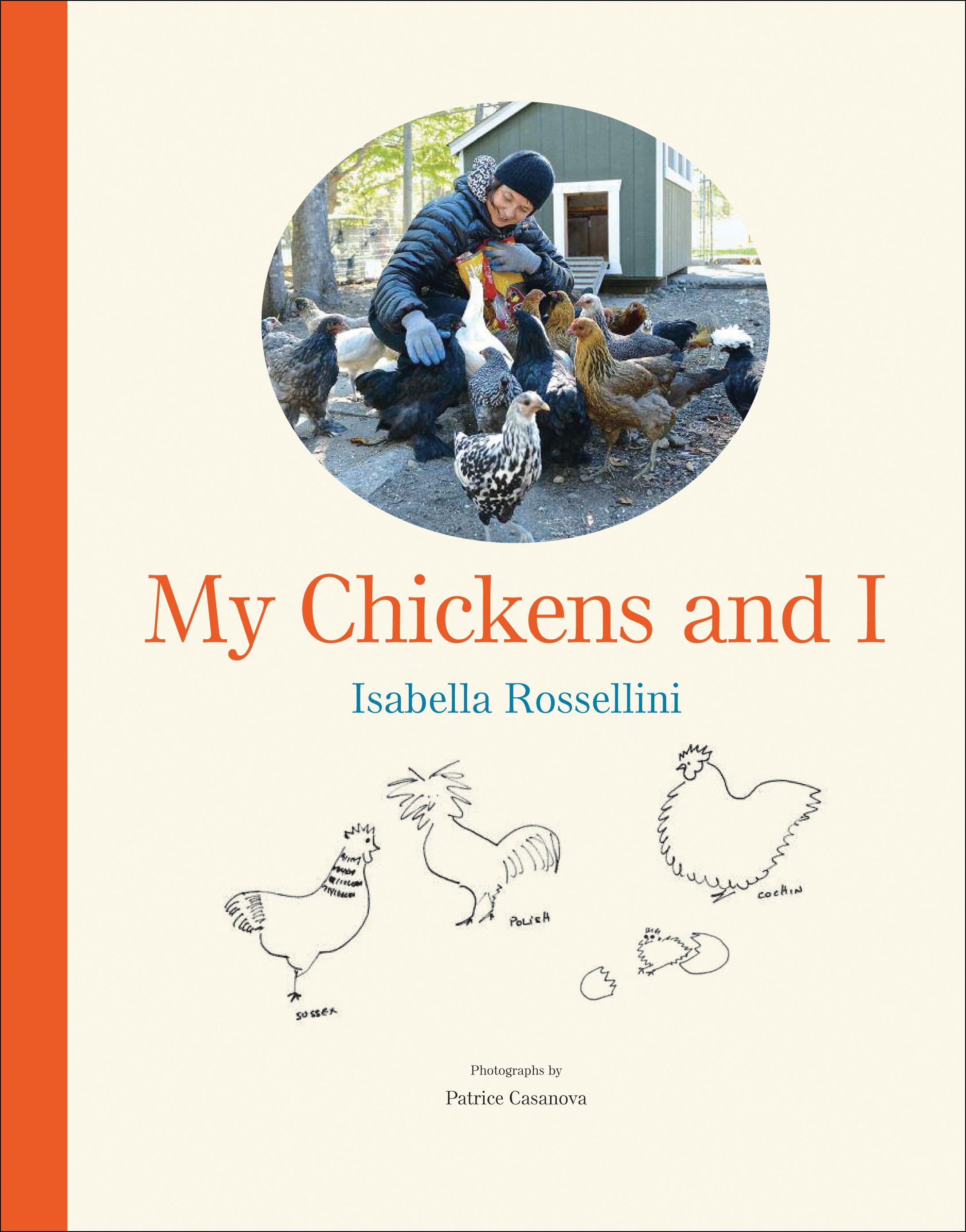 Vorderes Coverbild My Chickens and I