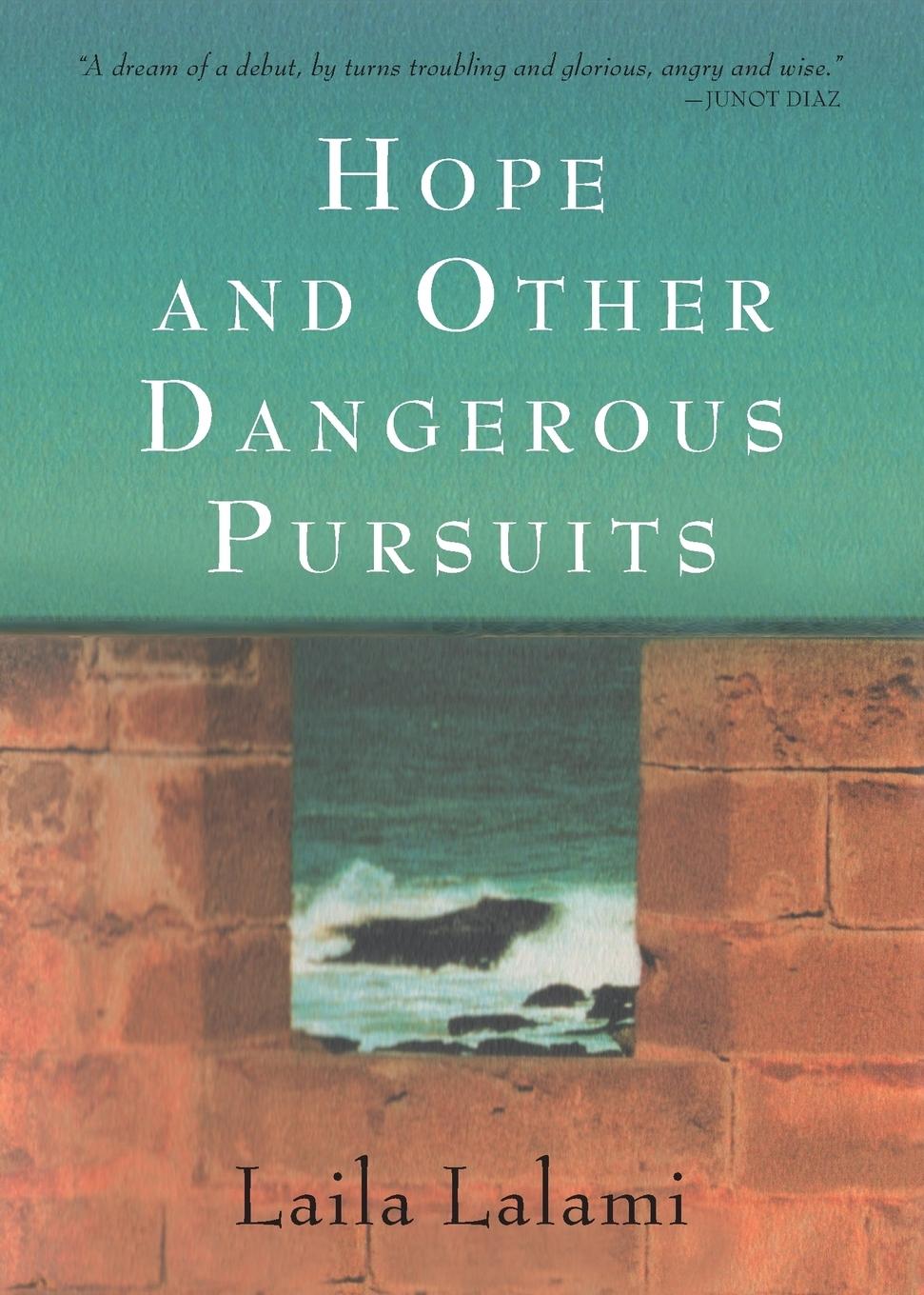 Vorderes Coverbild Hope and Other Dangerous Pursuits