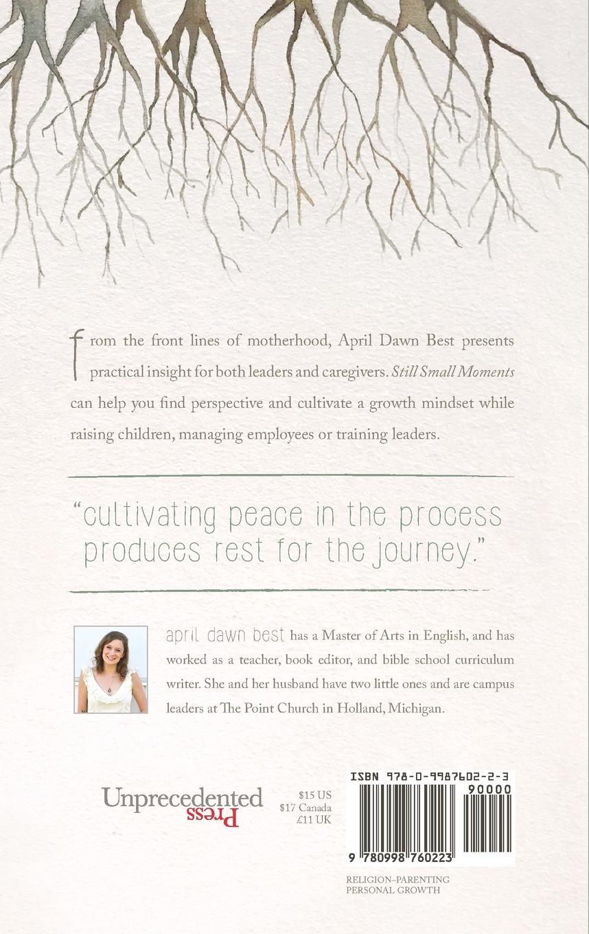 Rückseitencover Still Small Moments