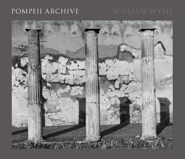 Vorderes Coverbild Pompeii Archive