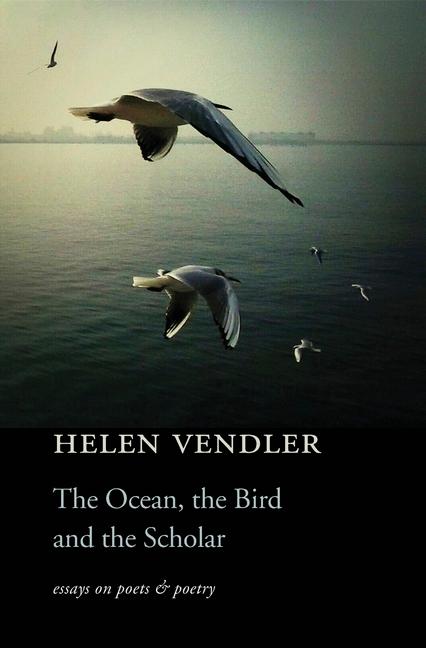 Vorderes Coverbild The Ocean, the Bird, and the Scholar