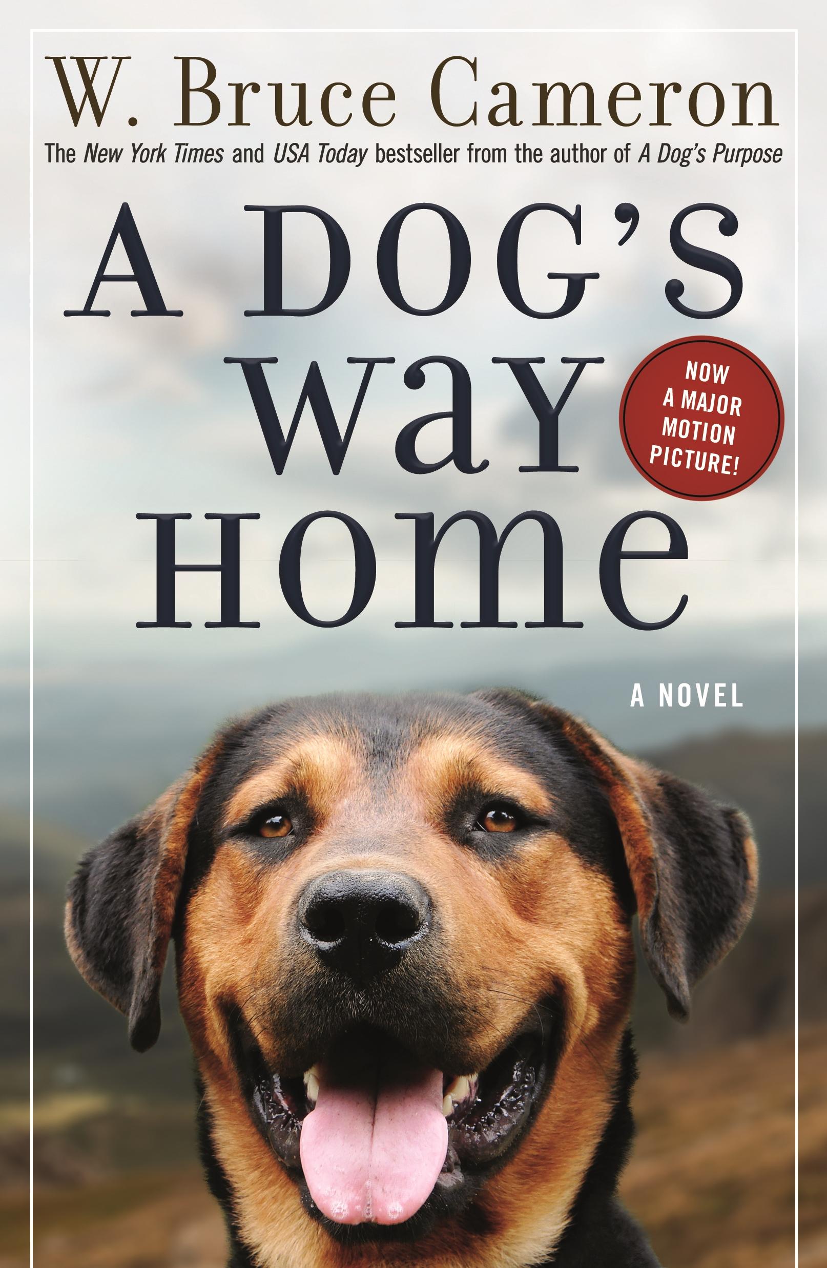 Vorderes Coverbild A Dog's Way Home