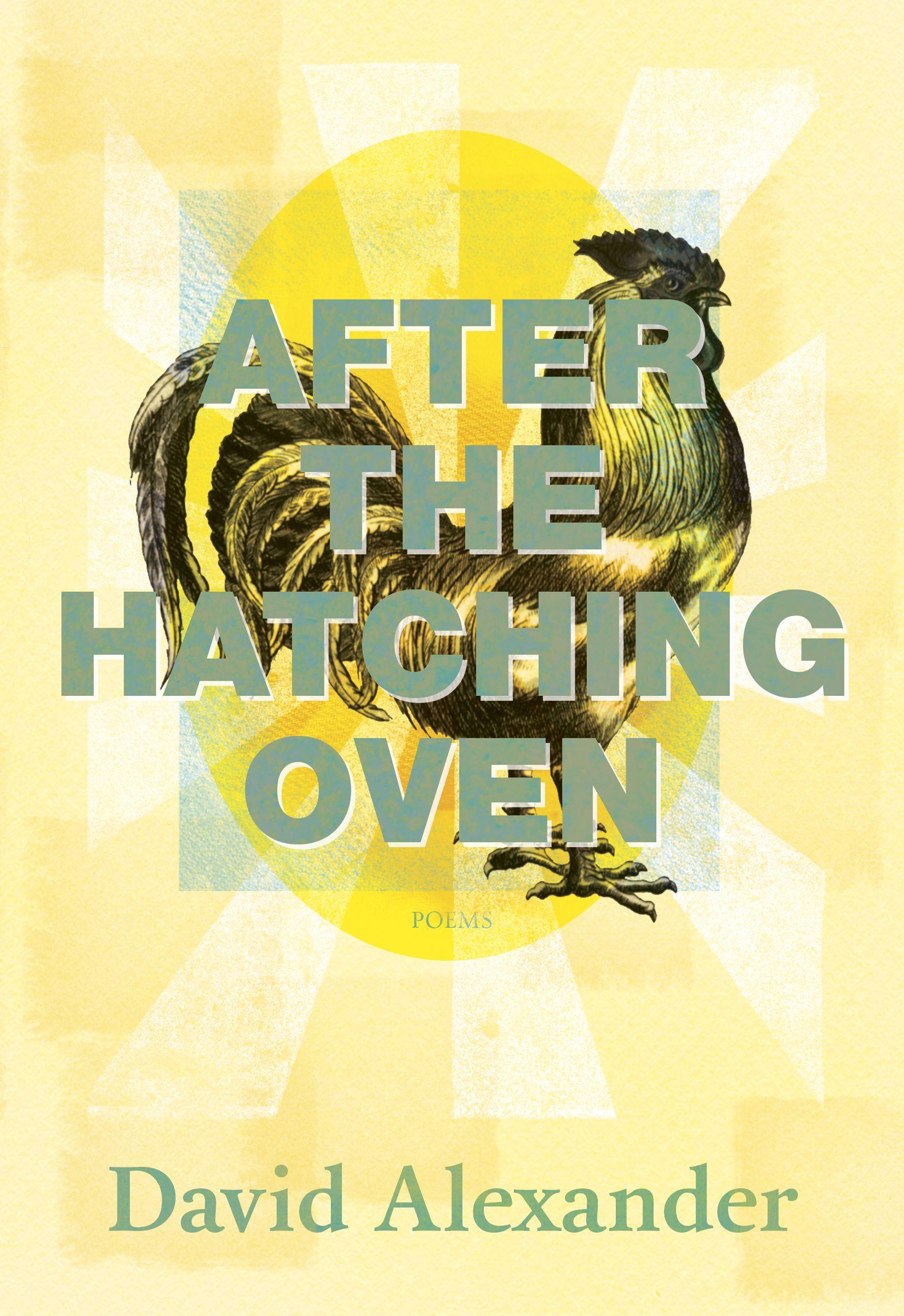 Vorderes Coverbild After the Hatching Oven