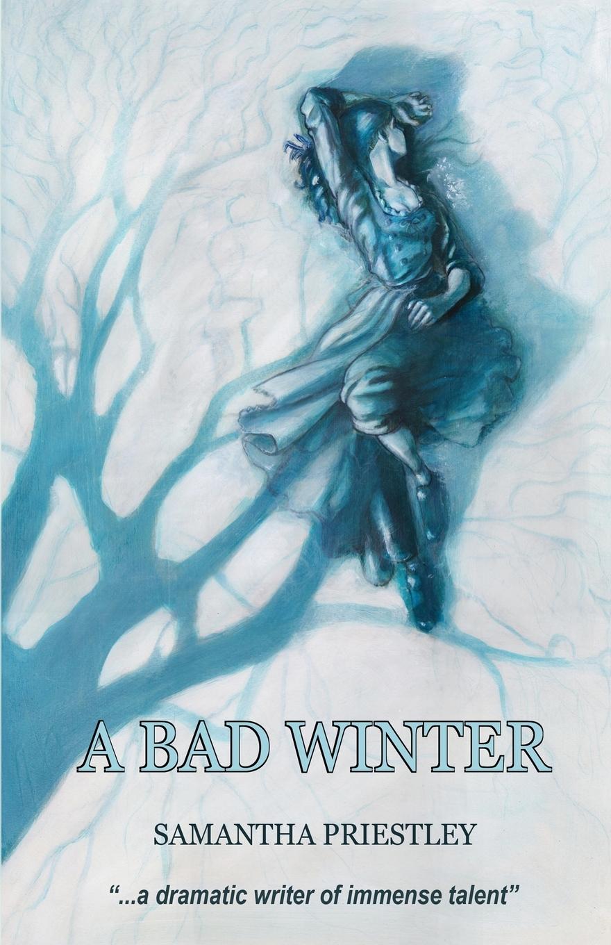 Vorderes Coverbild A Bad Winter