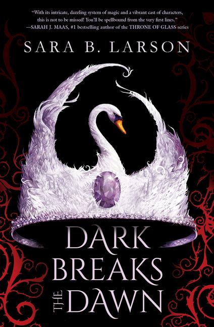 Vorderes Coverbild Dark Breaks the Dawn