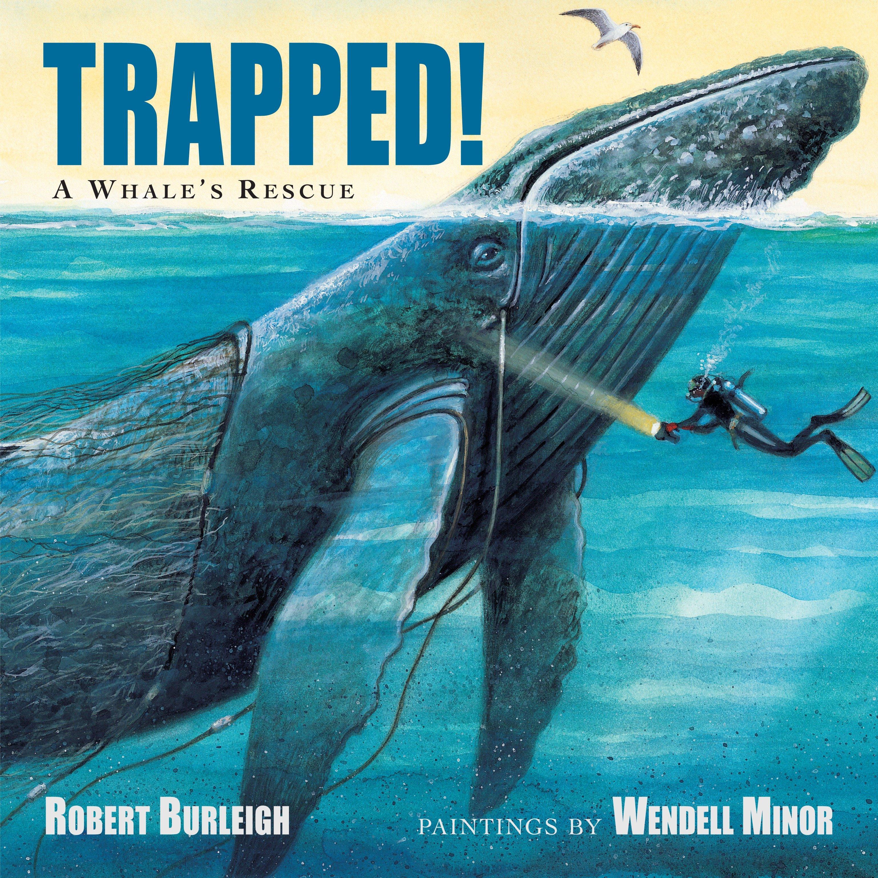 Vorderes Coverbild Trapped! a Whale's Rescue