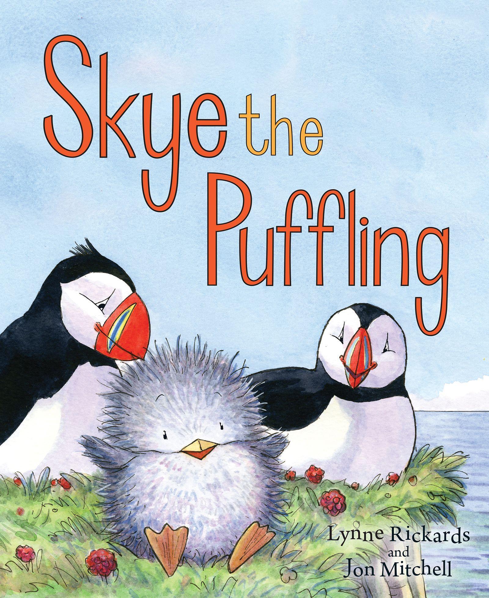 Vorderes Coverbild Skye the Puffling