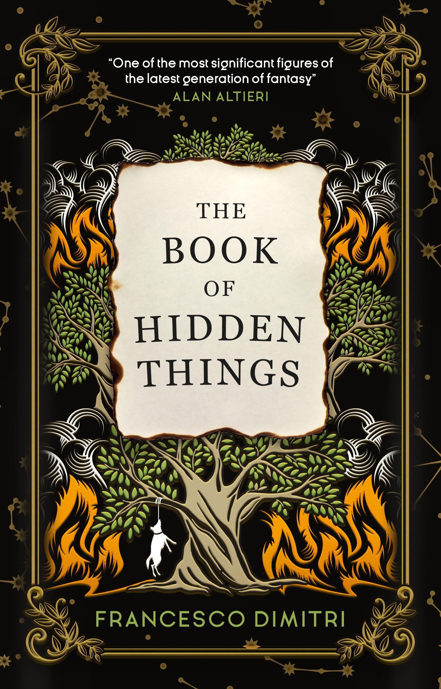 Vorderes Coverbild The Book of Hidden Things