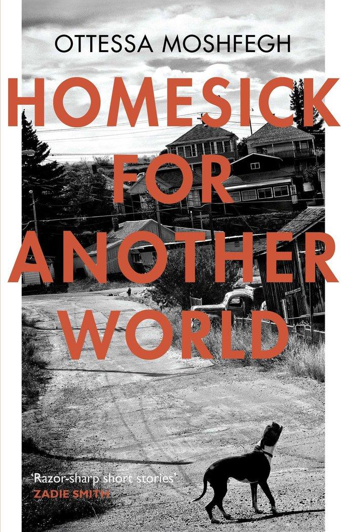 Vorderes Coverbild Homesick For Another World