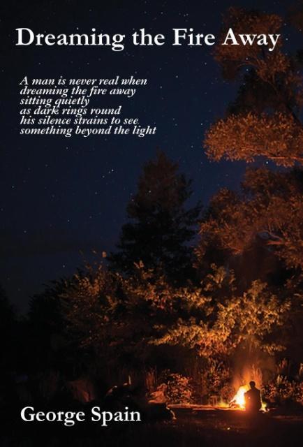 Vorderes Coverbild Dreaming the Fire Away