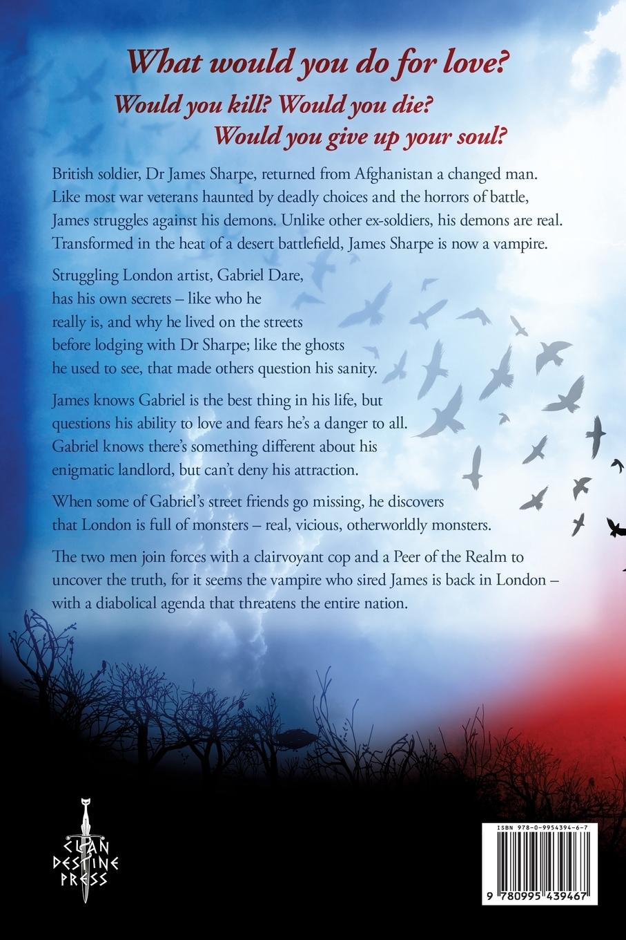 Vorderes Coverbild Ravenfall