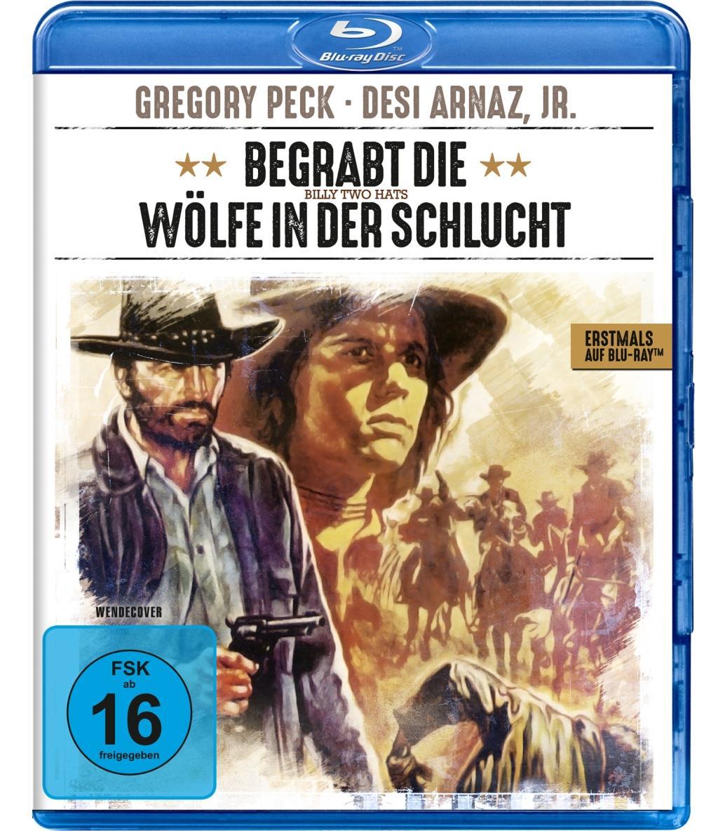 Vorderes Coverbild Begrabt die Wölfe in der Schlucht