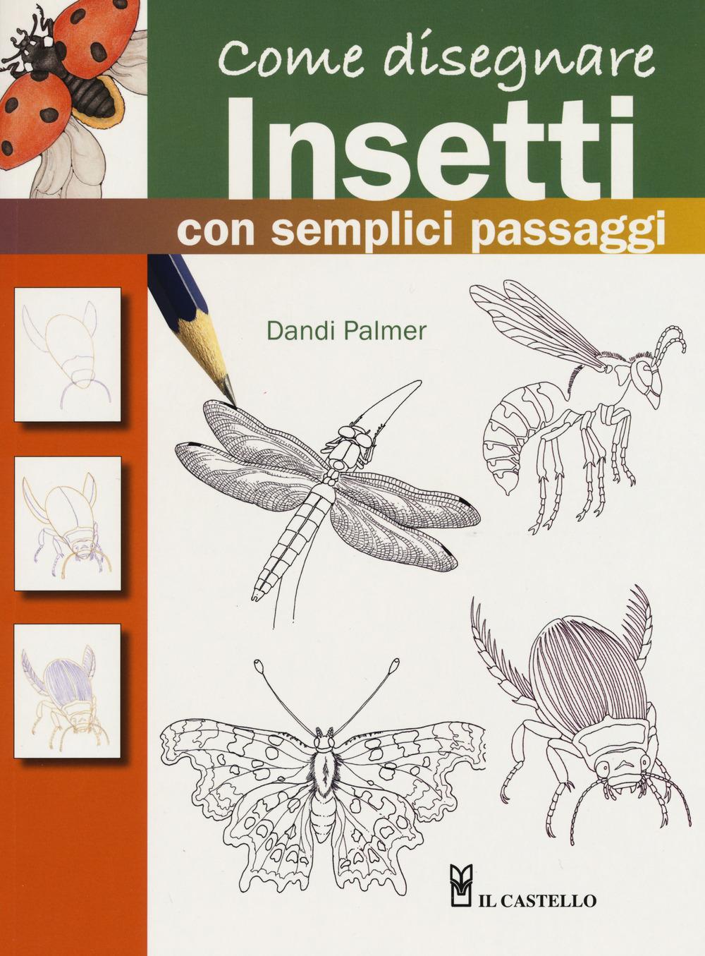 Vorderes Coverbild Come disegnare insetti con semplici passaggi