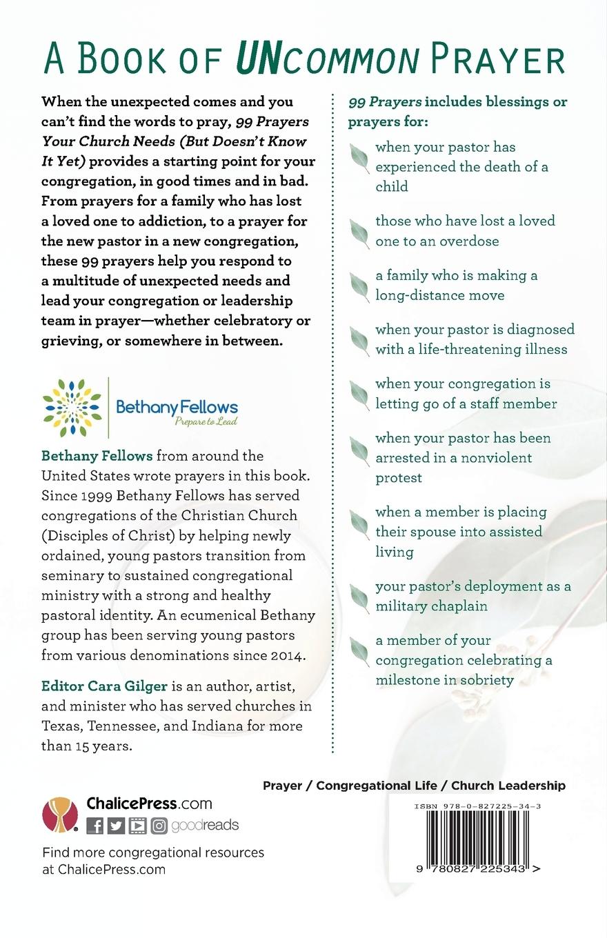 Rückseitencover 99 Prayers Your Church Needs (But Doesn't Know It Yet)