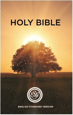 Vorderes Coverbild ESV English Standard Version Outreach Bible