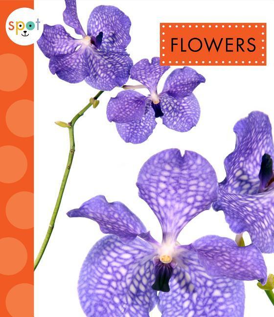 Vorderes Coverbild Flowers