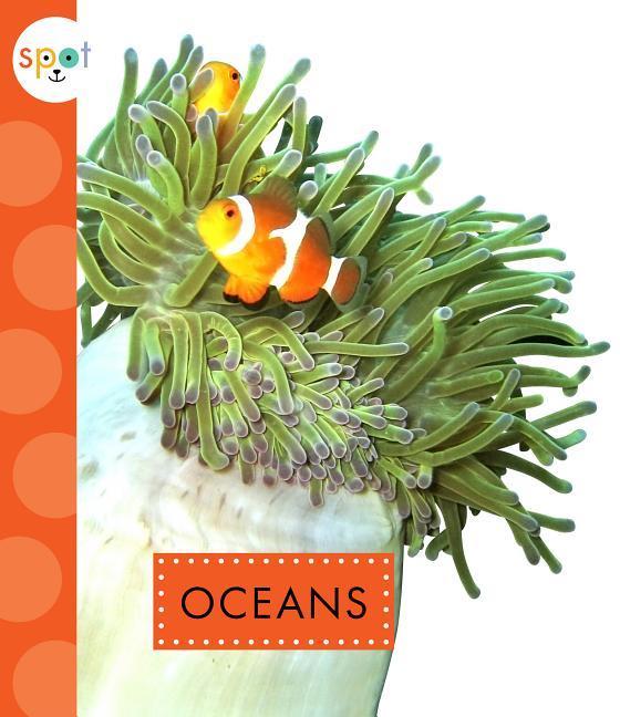 Vorderes Coverbild Oceans
