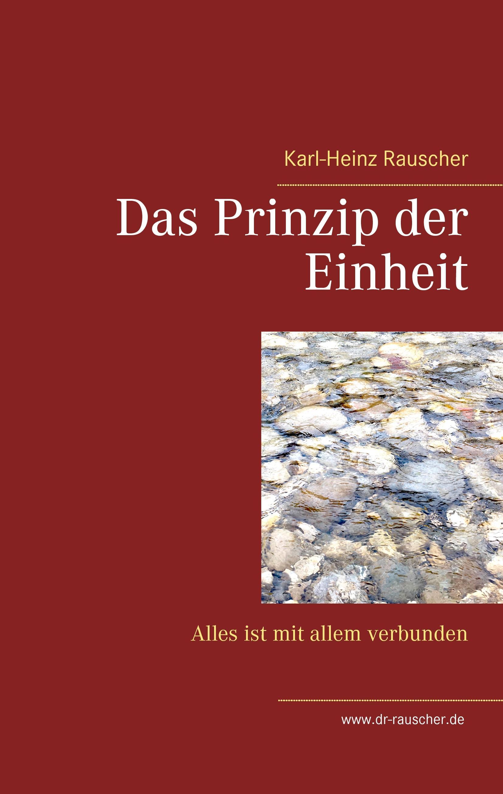 Vorderes Coverbild Das Prinzip der Einheit