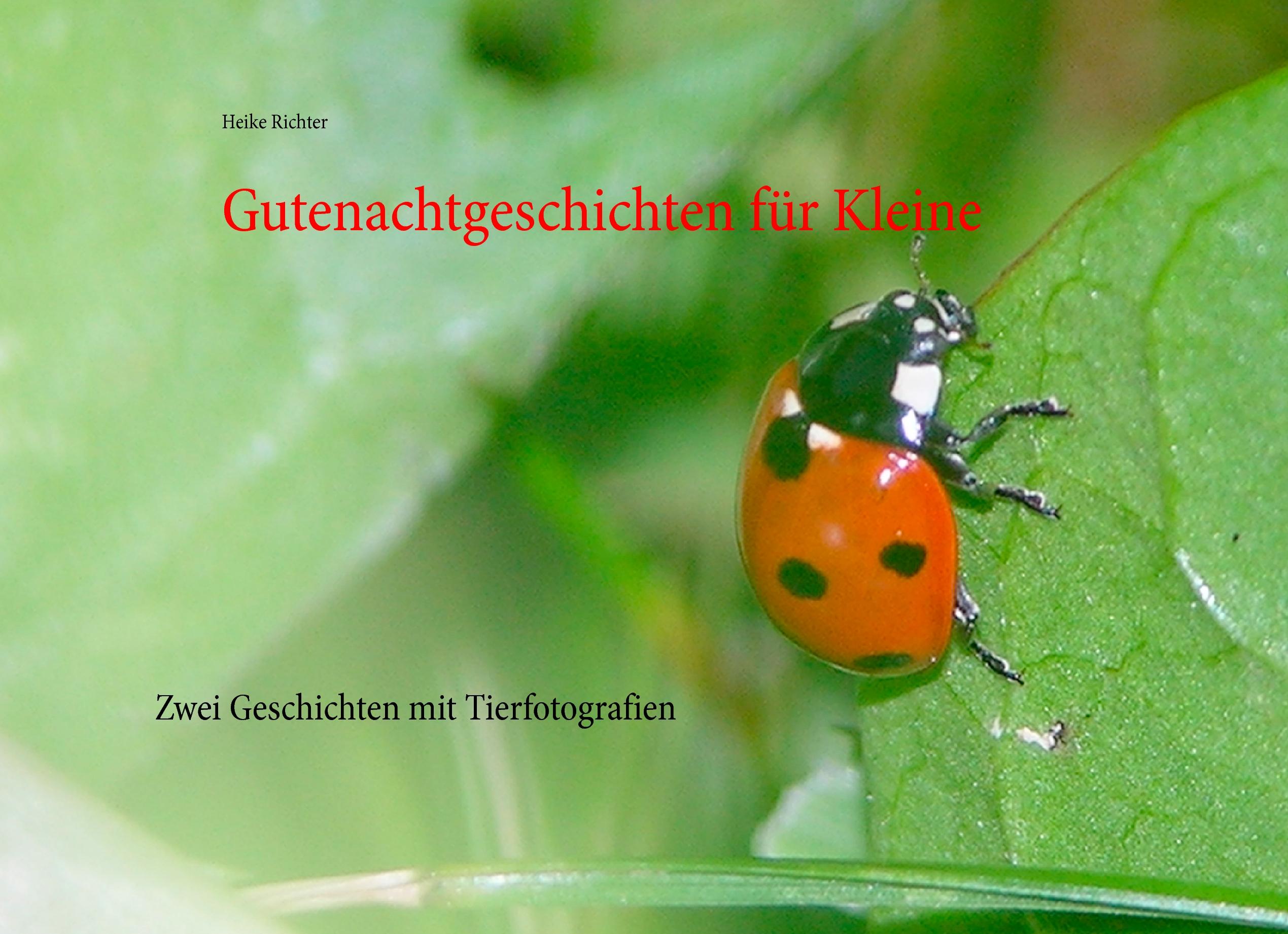 Vorderes Coverbild Gutenachtgeschichten für Kleine