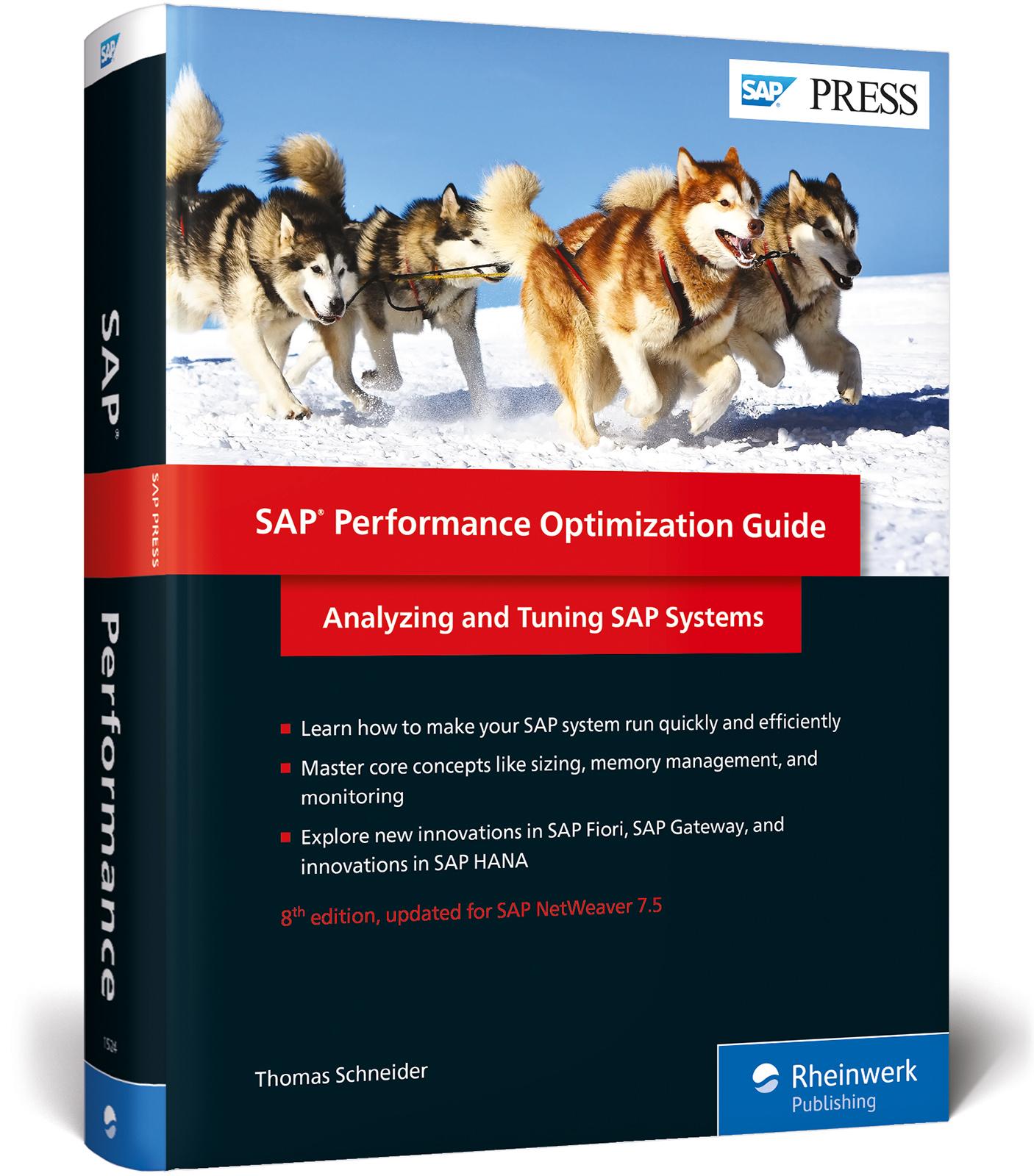 Vorderes Coverbild SAP Performance Optimization Guide