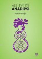 Vorderes Coverbild Akil Deliligi Anadipsi