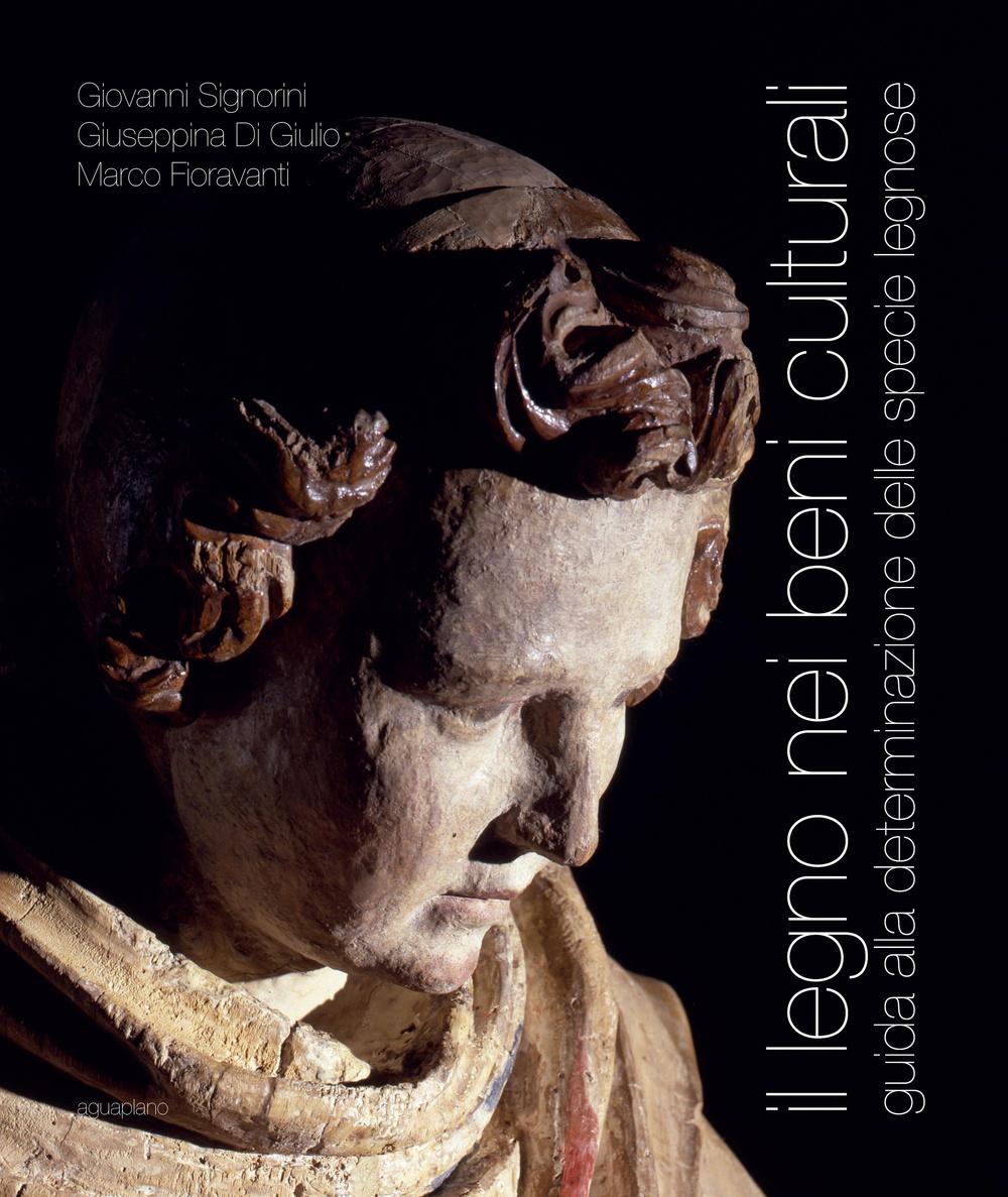 Vorderes Coverbild Il legno nei beni culturali. Guida alla determinazione delle specie legnose