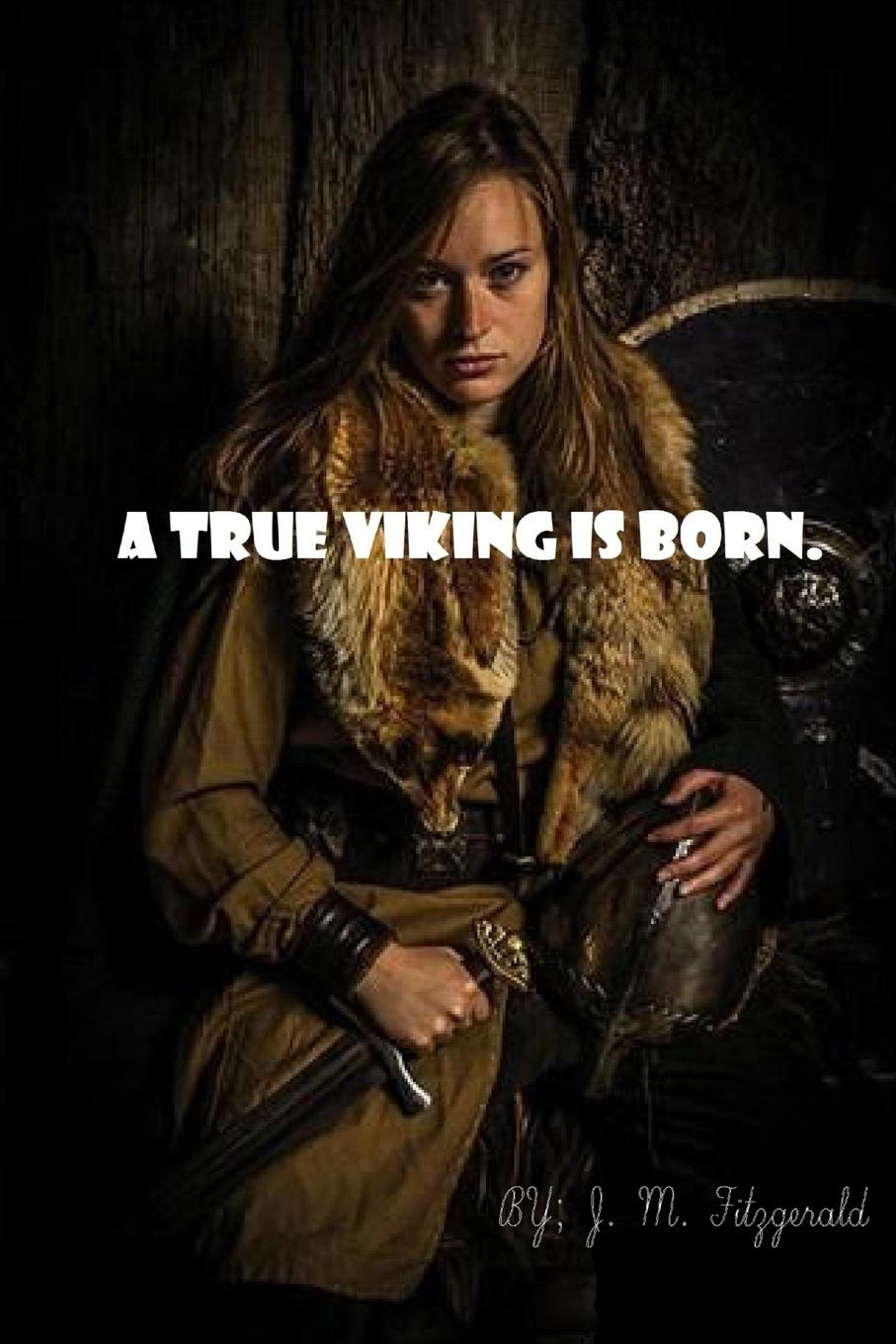 Vorderes Coverbild A true Viking is born