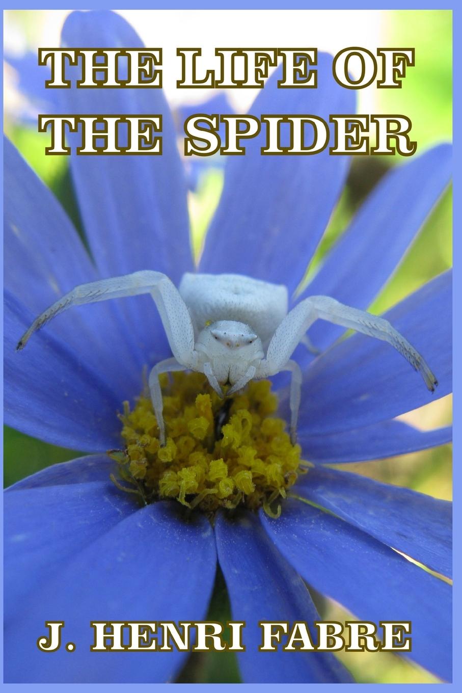 Vorderes Coverbild The Life of the Spider