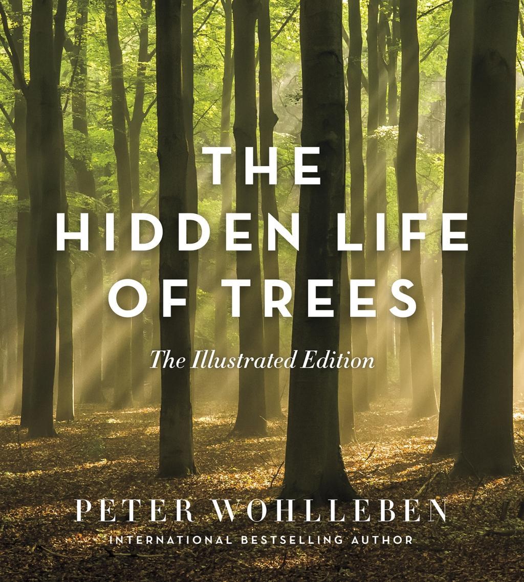 Vorderes Coverbild The Hidden Life of Trees: The Illustrated Edition