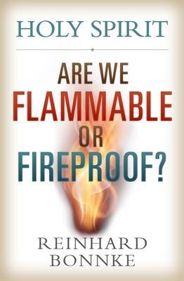 Vorderes Coverbild Holy Spirit: Are We Flammable or Fireproof?