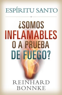 Vorderes Coverbild Spanish-Holy Spirit: Are We Flammable or Fireproof?