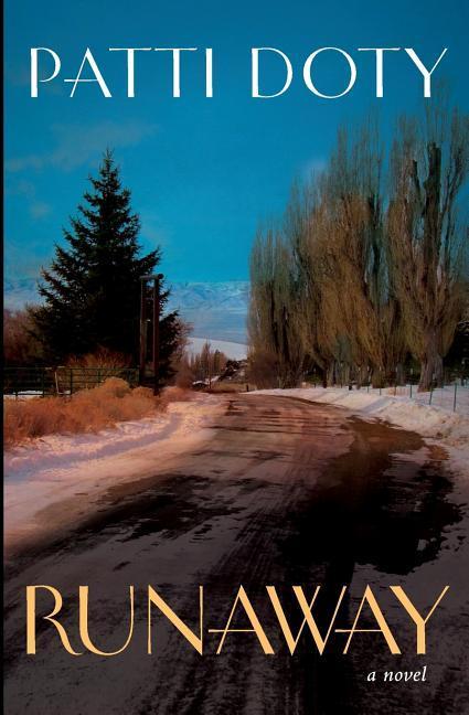 Vorderes Coverbild Runaway