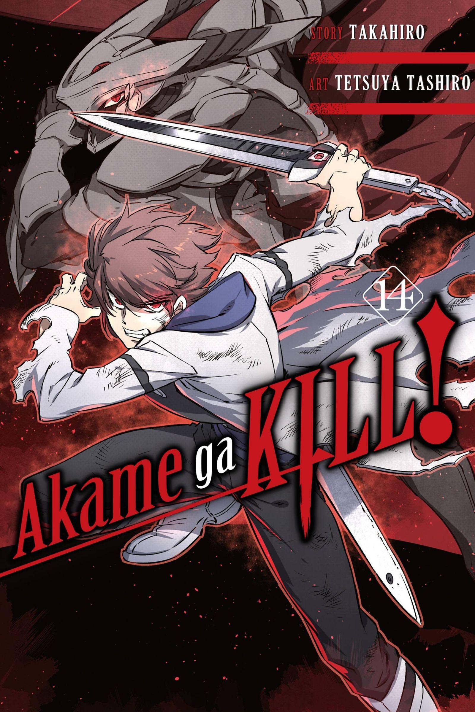 Vorderes Coverbild Akame Ga Kill!, Vol. 14